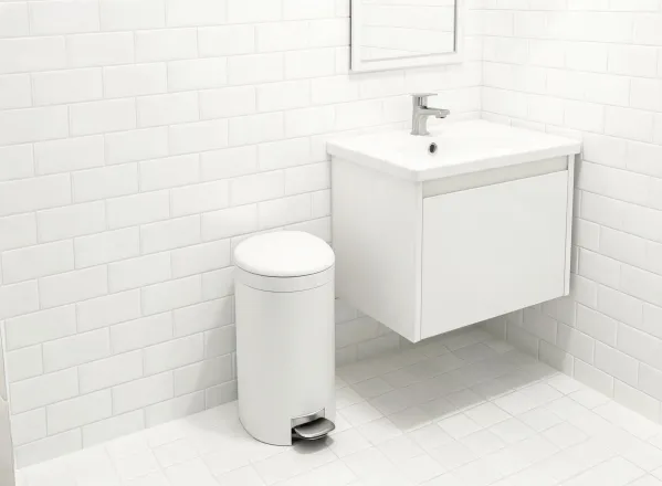 Bathroom step can setup
